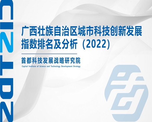 操逼吃逼的视频【成果发布】广西壮族自治区城市科技创新发展指数排名及分析（2022）